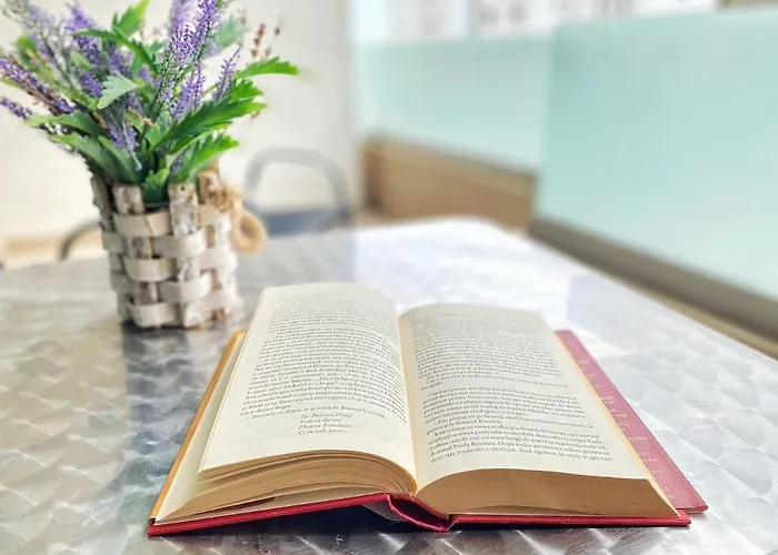 Apartment Green Day Studio Navodari